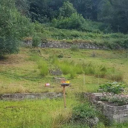 Apartamento Salamander Pirna