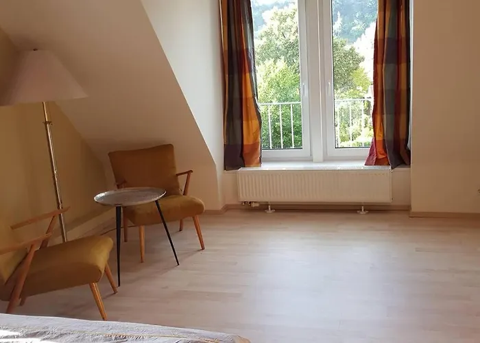 Apartment Salamander